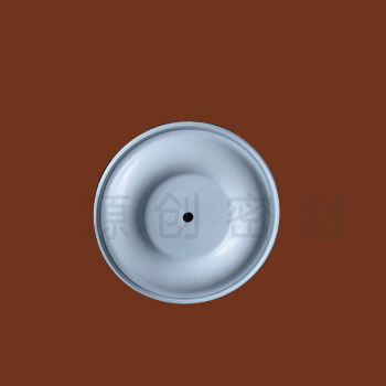 DN15-65 四氟午夜视频片